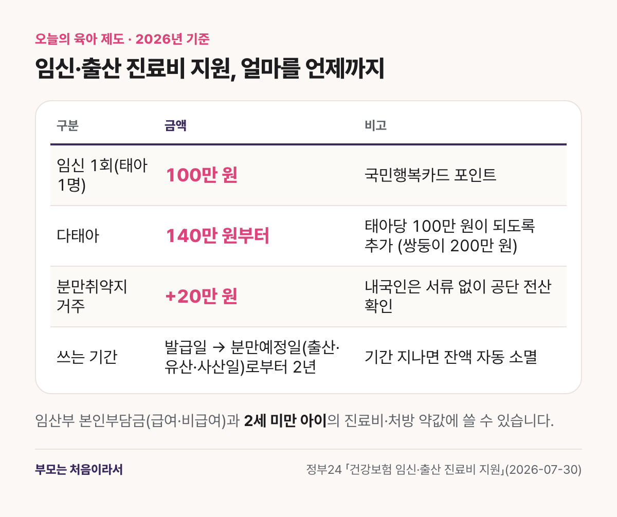 임신·출산 진료비 지원 금액 표: 임신 1회당 100만 원, 다태아 140만 원 기본에 태아당 100만 원이 되도록 추가, 분만취약지 20만 원 추가, 사용기간 분만예정일·출산일로부터 2년